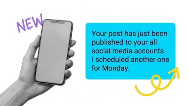Social Media Management